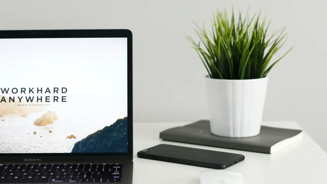 We help you harness your data